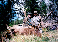 Archery Elk Hunting