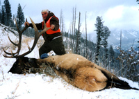 Successful elk hunting trip.